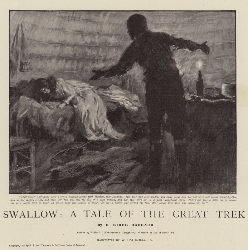 Vlaštovka, Příběh velkého putování od William Hatherell