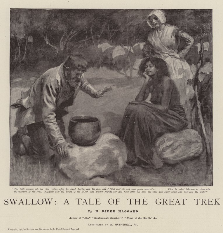 Vlaštovka, Příběh velkého putování od William Hatherell