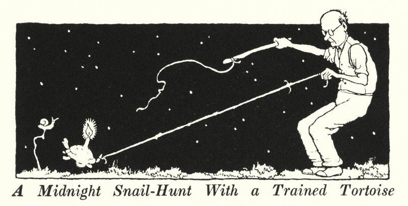 Půlnoční lov šneků s cvičenou želvou (litho) od William Heath Robinson