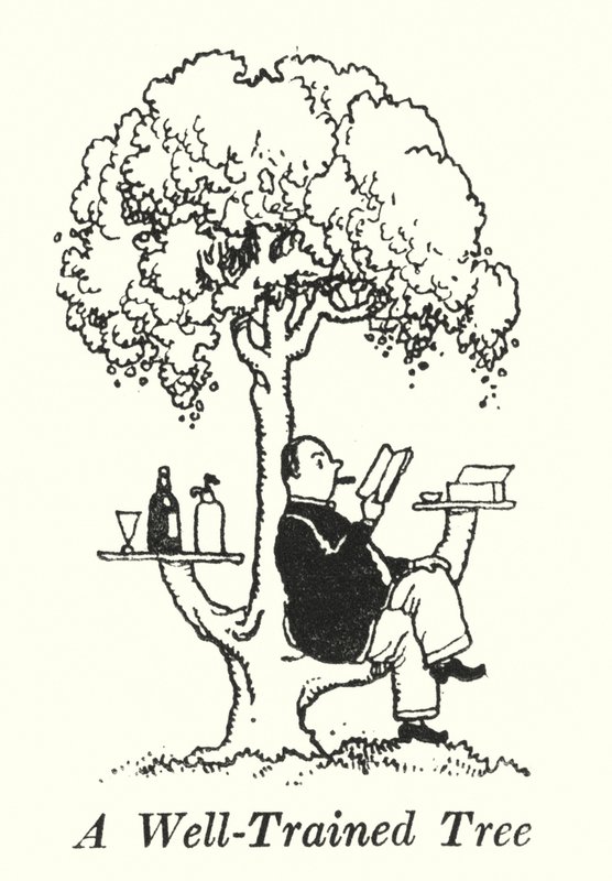 Dobře vycvičený strom (litho) od William Heath Robinson