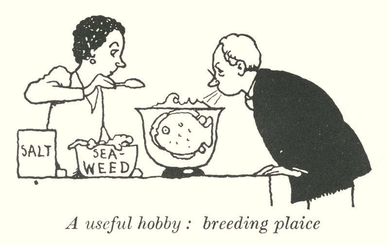 Závěsný od William Heath Robinson