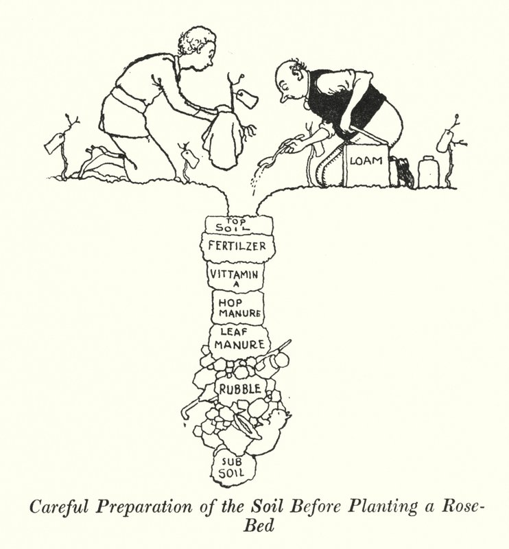 Pečlivá příprava půdy před výsadbou záhonu růží (litho) od William Heath Robinson