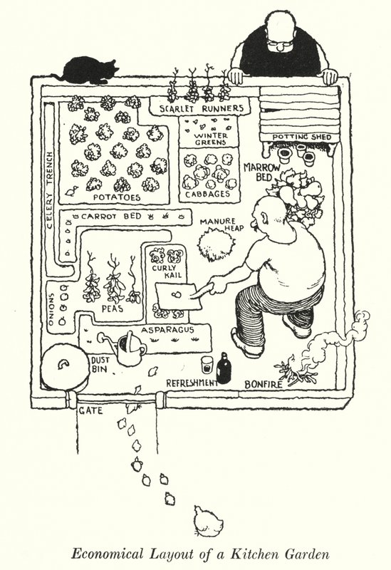 Ekonomické uspořádání kuchyňské zahrady (litho) od William Heath Robinson