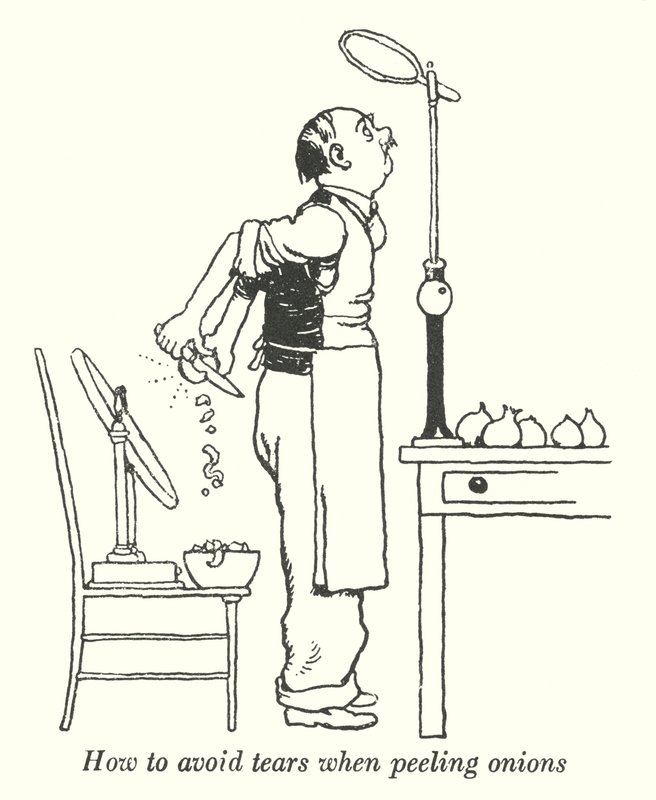 Jak se vyhnout slzám při loupání cibule (litho) od William Heath Robinson