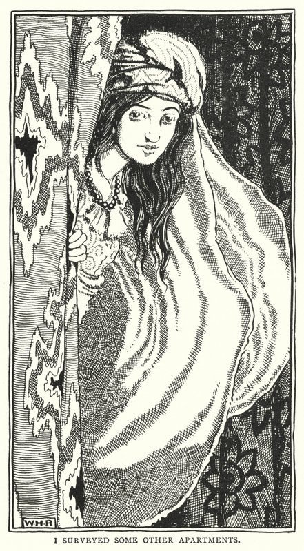 Prozkoumal jsem některé další byty (rytina) od William Heath Robinson