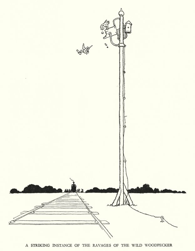 Ilustrace pro Railway Ribaldry od W Heatha Robinsona (litho) od William Heath Robinson