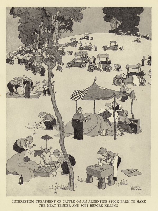 Zajímavé ošetření dobytka na argentinské farmě, aby bylo maso před zabitím jemné a měkké od William Heath Robinson