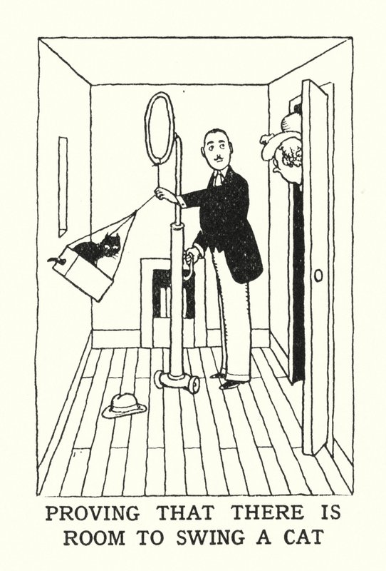 Dokazování, že existuje prostor pro houpání kočky (litho) od William Heath Robinson