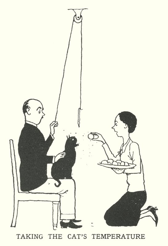 Měření teploty kočky (litho) od William Heath Robinson