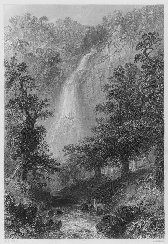 Powerscourt Fall (rytina) od William Henry (after) Bartlett