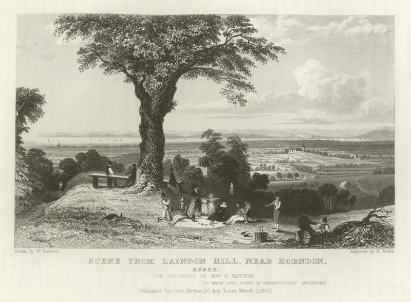 Scéna z Laindon Hill, poblíž Horndon, Essex od William Henry Bartlett
