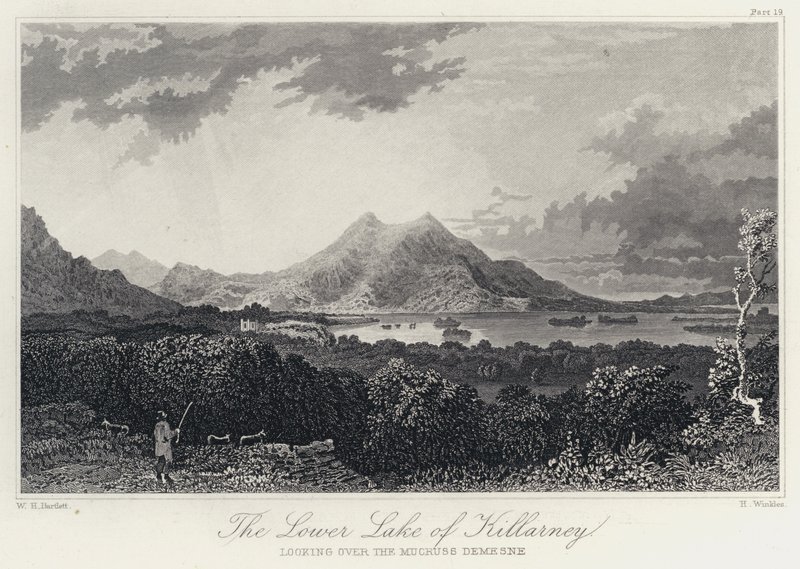 Dolní jezero Killarney, při pohledu na Mucruss Demesne (rytina) od William Henry Bartlett