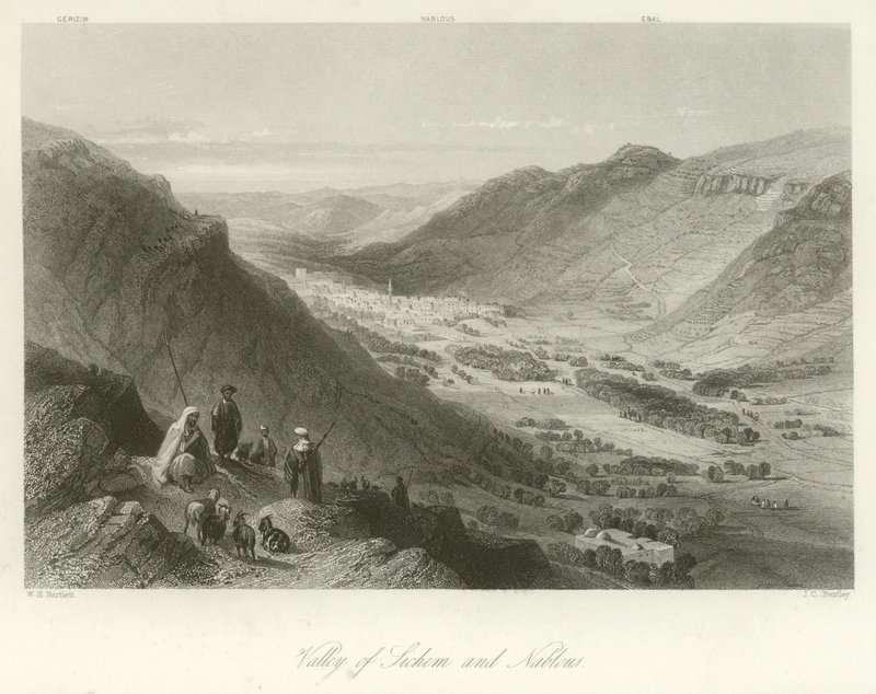 Údolí Sichem a Nábulus, Palestina od William Henry Bartlett