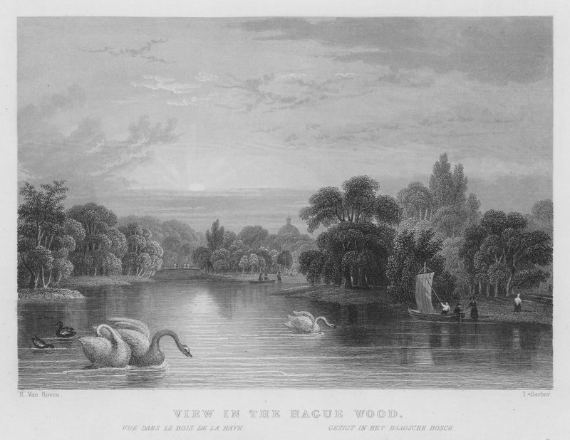 Pohled v Haagském lese (rytina) od William Henry Bartlett