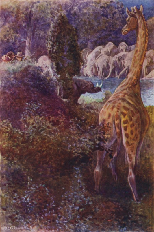 Ilustrace k filmu Lovci goril od RM Ballantyne (barva lito) od William Henry Charles Groome