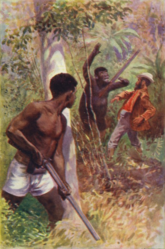 Ilustrace k filmu Lovci goril od RM Ballantyne (barva lito) od William Henry Charles Groome