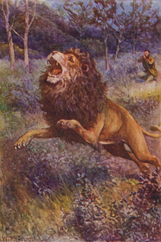 Ilustrace k filmu Lovci goril od RM Ballantyne (barva lito) od William Henry Charles Groome