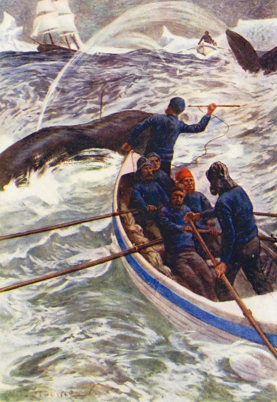 Ilustrace k filmu Ledový svět aneb Velrybářská plavba delfína (barevná litografie) od William Henry Charles Groome