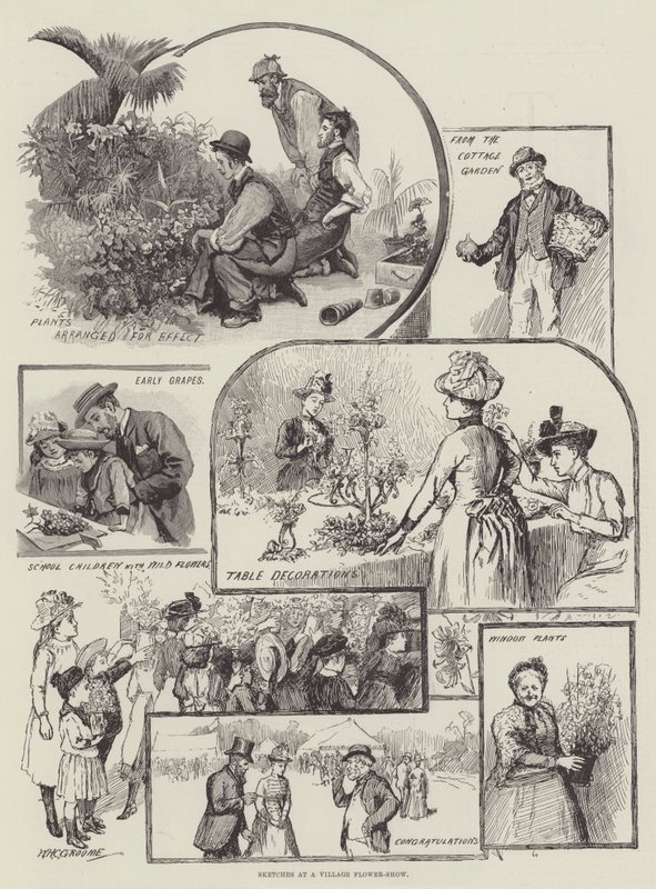 Skici na vesnické květinové výstavě od William Henry Charles Groome