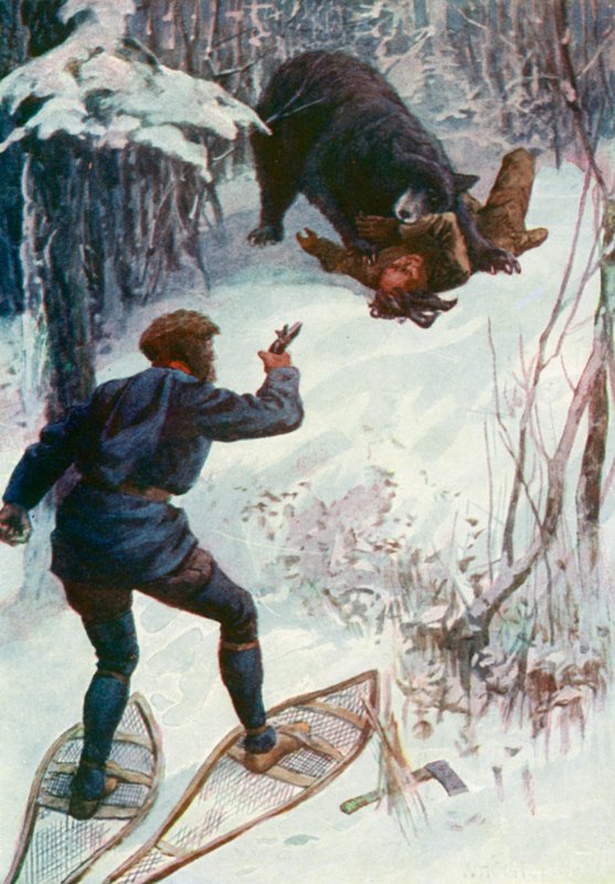Medvěd stál nad ním a držel jednu z jeho paží v tlamě od William Henry Charles Groome