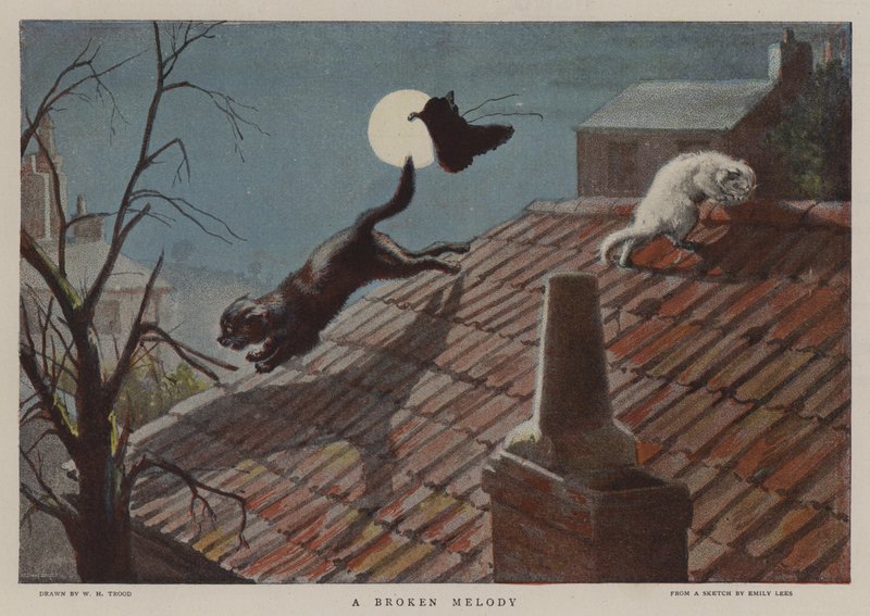 Rozbitá melodie od William Henry Hamilton Trood