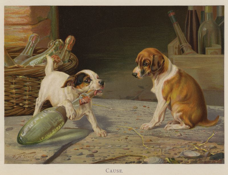 Příčina (chromolitho) od William Henry Hamilton Trood