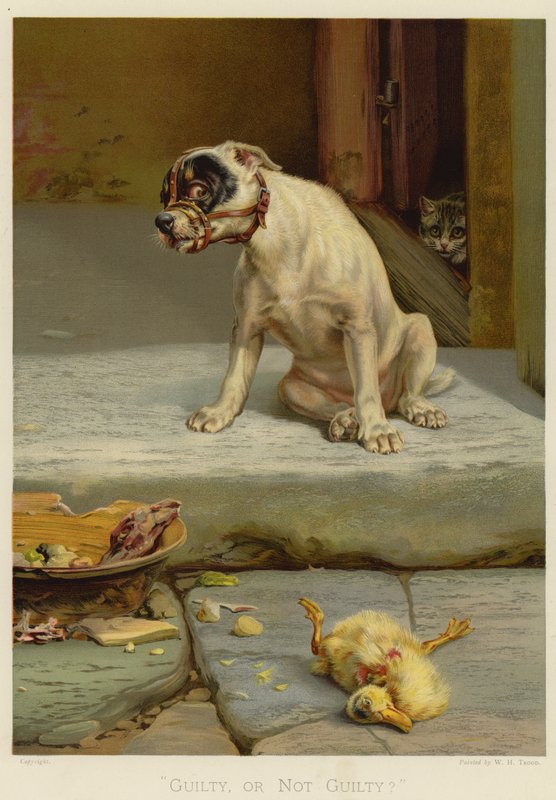 Vinen, nebo nevinen (chromolitho) od William Henry Hamilton Trood
