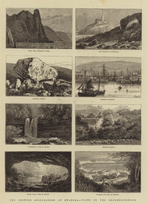 Britská asociace ve Swansea, Views in the Neighborhood od William Henry James Boot