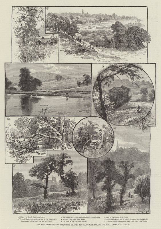 Nové rozšíření Hampstead-Heath, East Park Estate a Parliament Hill Fields od William Henry James Boot