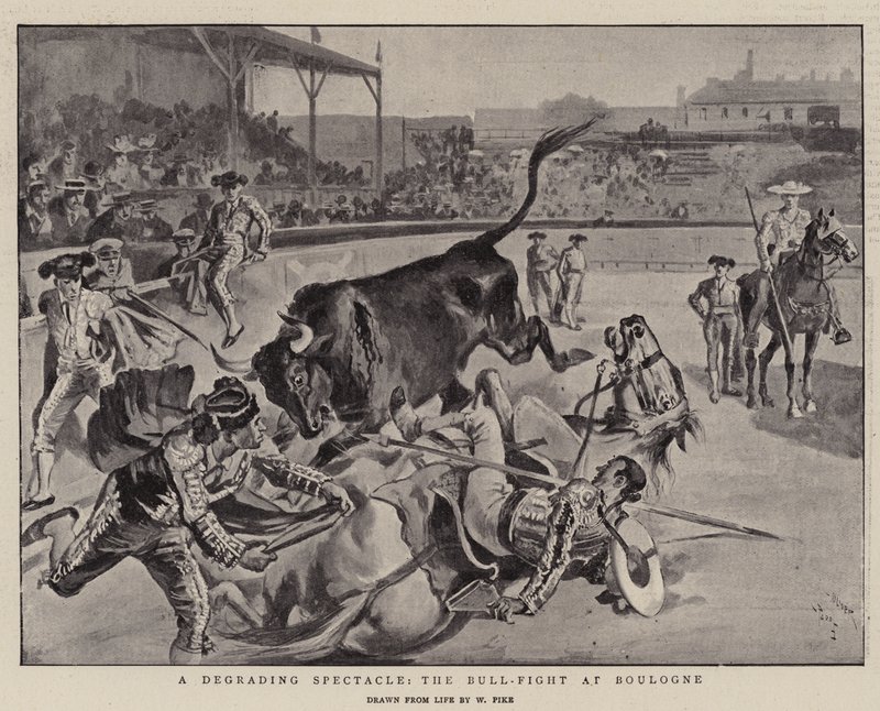 Ponižující podívaná, boj s býky v Boulogne od William Henry Pike