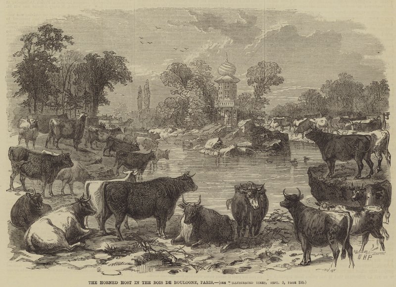 Rohatý hostitel v Bois de Boulogne v Paříži od William Henry Prior