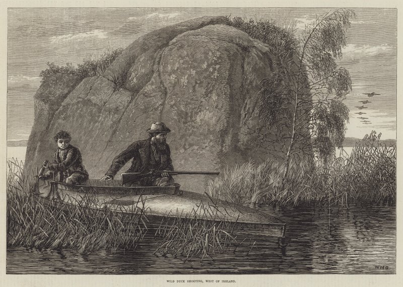 Wild Duck Shooting, West of Ireland gravírování od William Heysham Overend