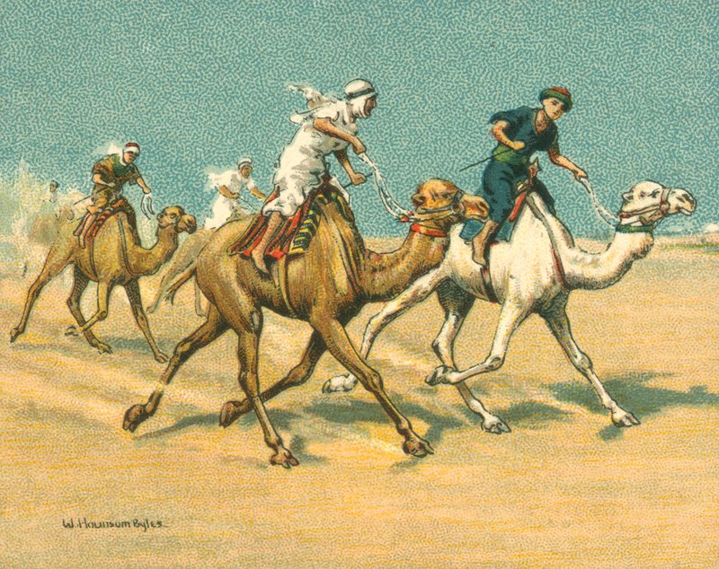 Historické a moderní závody, Velbloudí závody (chromolitho) od William Hounsom Byles