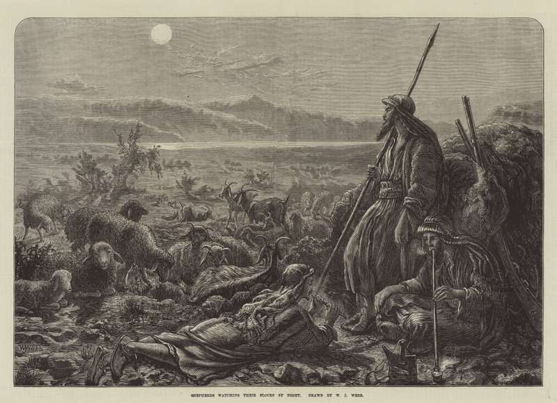 Pastýři hlídající svá stáda v noci od William J. Webbe or Webb