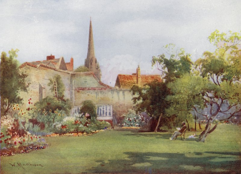 Morušovník Miltonův v zahradě Fellows, Christs College od William Matthison