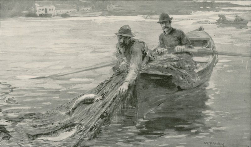Losos síťovaný na řece Fraser, Britská Kolumbie od William Rainey