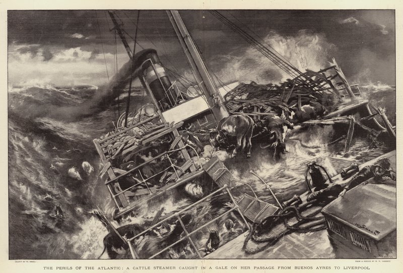 The Perils of the Atlantic, dobytčí parník zachycený vichřicí na její cestě z Buenos Ayres do Liverpoolu od William Small