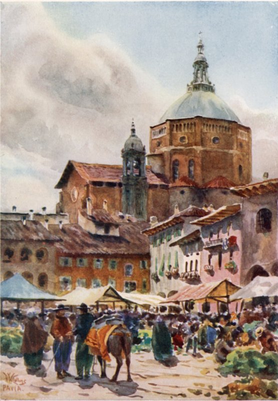 Pavia. Katedrála (barva lito) od William Wiehe Collins
