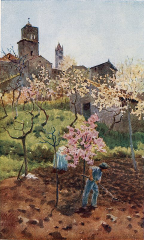 Siena. Pod hradbami (barva lito) od William Wiehe Collins