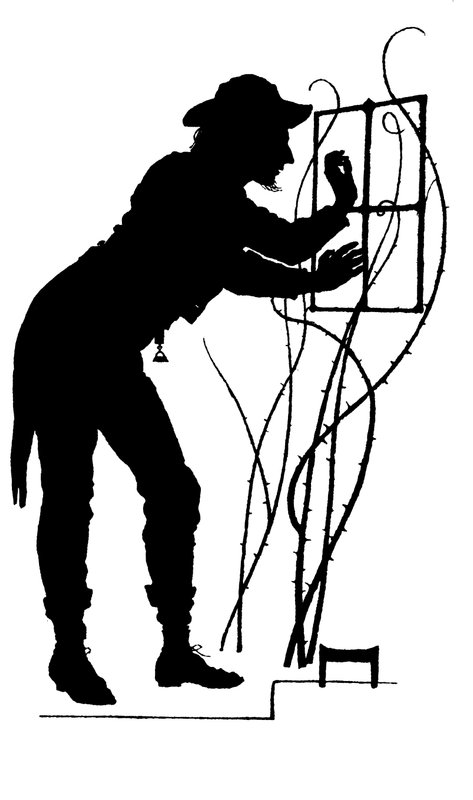 Ilustrace pro The Courtin