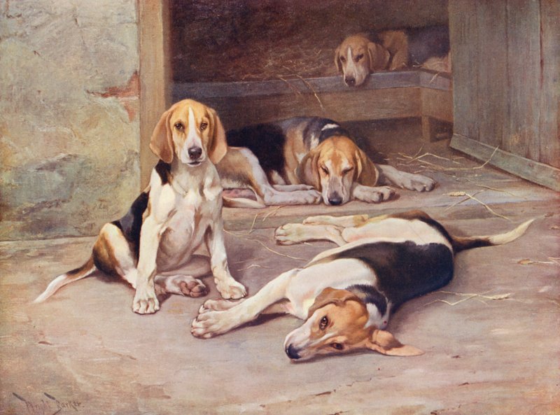 Dny štěňat (barevná litografie) od Wright Barker