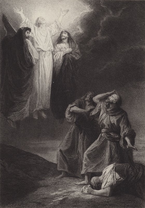 Proměna od after Albert Robida