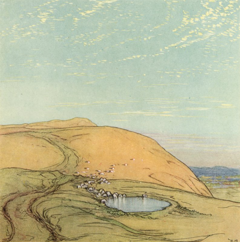 Sussex od after Donald Maxwell