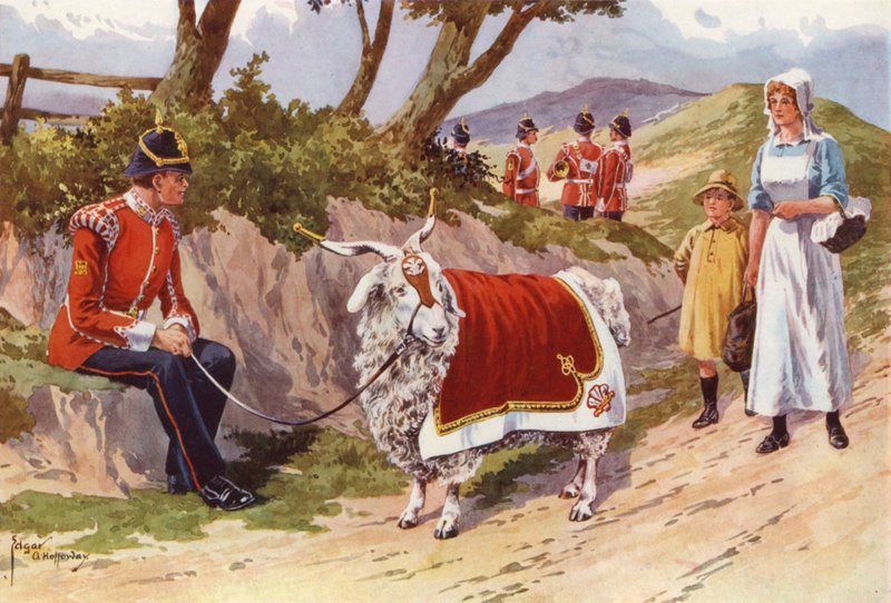 Billy, mazlíček z velšského regimentu od after Edgar Alfred Holloway
