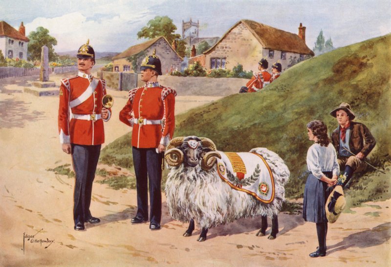 Derby Tom, Pet Ram ze Sherwood Foresters od after Edgar Alfred Holloway