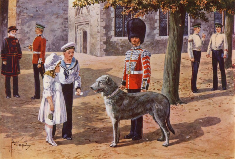 Pet Wolfhound irských stráží v Tower of London od after Edgar Alfred Holloway