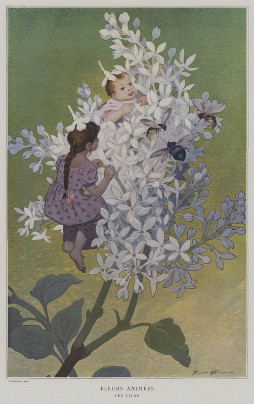 Fleures Animees. Les Lilas. (Animované květiny: šeříky) od after Firmin Bouisset