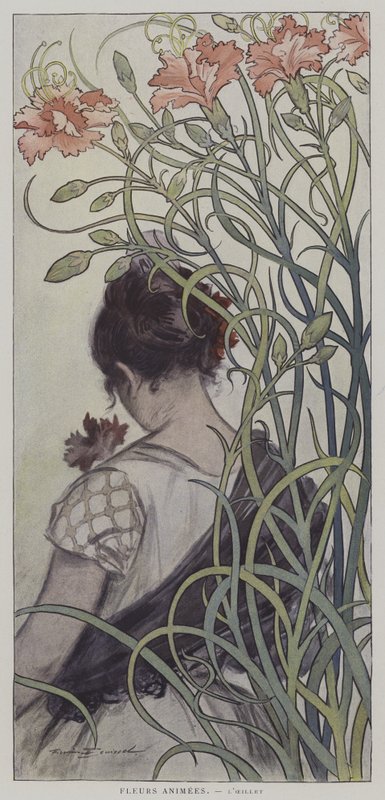 Anime Fleurs. LOeillet. (Animované květiny: Karafiát) od after Firmin Bouisset