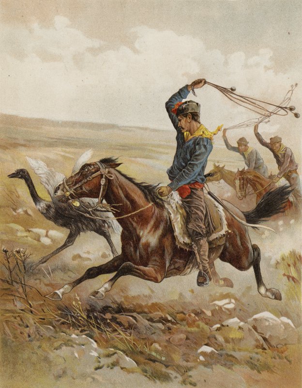 Lov pštrosa, Jižní Amerika (chromolitho) od after Frank Feller