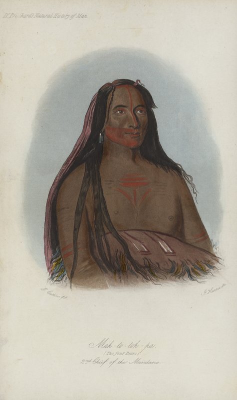Mah-to-toh-pa, Čtyři medvědi, 2. náčelník Mandanů (akvatinta) od after George Catlin